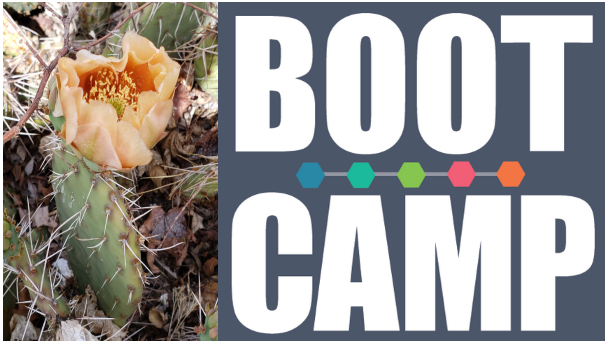 Faculty Mini-Boot Camp 2020 Group